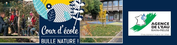subvention ae rhin meuse cours d'écoles bulle nature