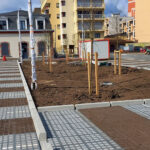 Ensemencement des stationnements et noues - mars 2022