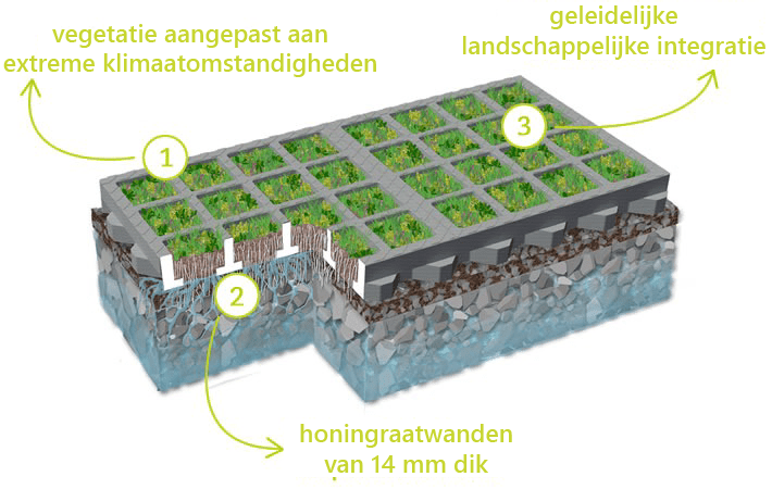 groene-rooster-o2d-moss-waterdoorlatende-parking